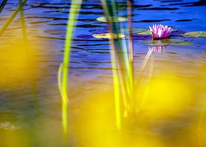 Komfort Zirbenland - Adults Only - No Dogs Aparthotel